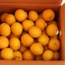 함초롬농원 이미지