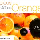 오랜지 이미지