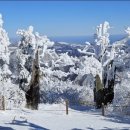 대동사거리 파리바게트 앞 이미지