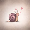 일거양득 이미지