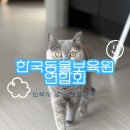 수원고양이분양 캣토리 | 수원고양이무료분양 방문 전, 동물보육원과 둘째를 알아봤어요!