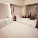 스카이호텔 | 일본 도쿄 호텔 후기: 스카이트리 옆, 게이세이 리치몬드 호텔 도쿄 오시아게