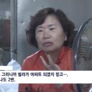 서울 강서구청장 보궐선거 지지자 근황 이미지