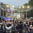 은행나무길(문화재단앞) 이미지