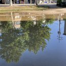 오색운동화세탁 이미지