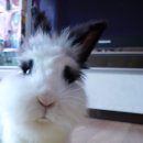 식이네농장 | <식이네 농장> 함안 참외 구입 후기