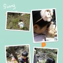 안산반월지역아동센터 이미지