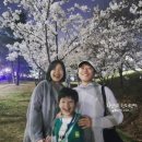 웰리스건강 | 건강관리 시작 ♡ 마이웰리스랩_ 나의 노화속도와 건강나이 후기