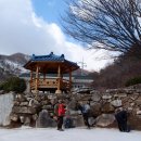 조산동회관 Daum카페