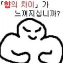 (자)정우에너지 | 요즘 날씨가 좋아서 룰루랄라~~