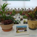 구포3동-4 이미지