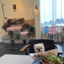 파스타입니다 하남점 이미지