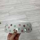 하나켄넬 | [공지] 릿첼 고양이 캠핑 켄넬 파인 더블도어 S 케이지 후기