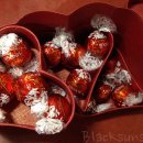 팀 크루아상 이미지