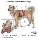 GB메디컬 이미지