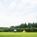 장흥숲길캠핑장 네이버블로그