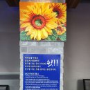 JK 빌리어드 이미지