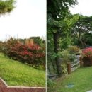 농업기술원 앞 이미지