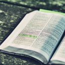 성공과 행복 이미지