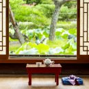 한방약선차 이미지