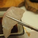 유성횟집 - 거제시 장평1로1길 25 | 유성횟집