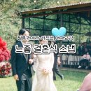 데이라이트 | 결혼식 필름카메라 야외웨딩 코닥 데이라이트 펀세이버 후기
