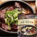 선지식품