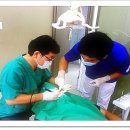 서울좋은치과병원 이미지