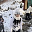 상촌면 물한계곡주차장 화장실 | 민주지산 물한계곡 원점회귀로 설산 제대로 즐기고 왔어요 | 민주지산주차장, 화장실, 코스정보...