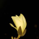 관모초교 이미지