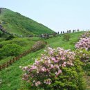 소백산국립공원 뉴데일리