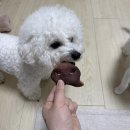 천안 강아지 수제간식 댕댕이네 믿고 먹일 수 있는 내돈내산 간식 후기