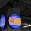 맘스터치 속초점 | 속초관광수산시장(중앙시장) 여행 중 직접 먹어본 맛집 음식들 추천 비추천 솔직 후기