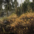 서산동물병원 이미지