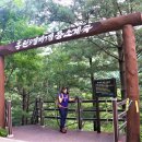 용소상회