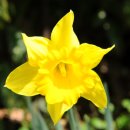 근자농장 이미지