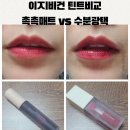 브라운스프링 | 이지비건 틴트 비교 누시럽블러틴 우디레드 vs 에어필워터틴트 스프링로지 리얼발색 후기