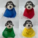 신명유치원 | [tvn 유튜브 촬영] 후추 강아지 유치원 이은지 ‘좋은지’ 채널 출연 후기