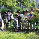 장성초등학교 이미지