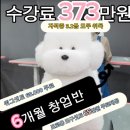 본애견미용실 이미지