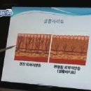 헬로닥터 이미지