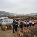 종식축산 이미지