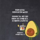 코튼마켓 네이버블로그