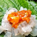 작은어촌 이미지