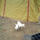 나무농장 이미지