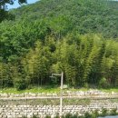 비학산자연휴양림 이미지