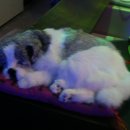 프렌즈PC방 이미지