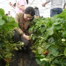 남도1농장 이미지