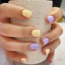 비발디 후문 이미지