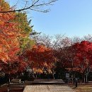 천황자동차야영장 이미지